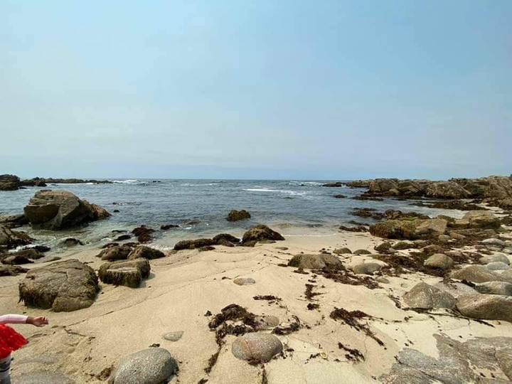 Something about the beach