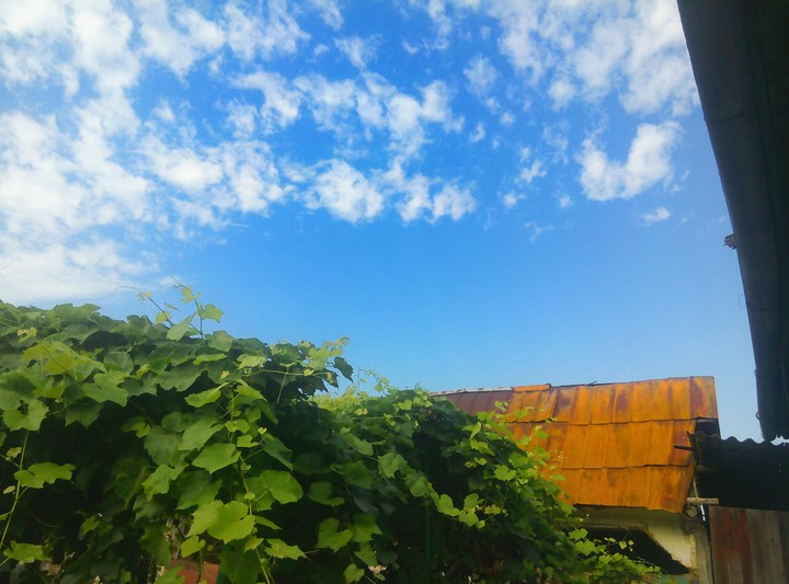 So sunny