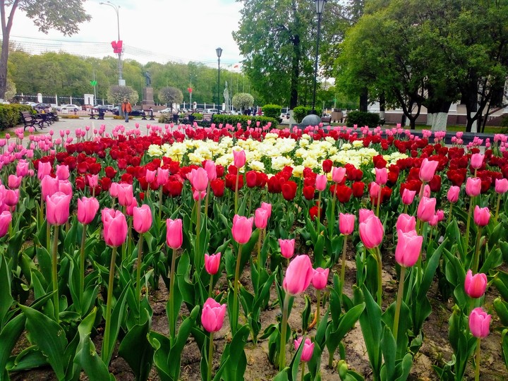 Гомель
