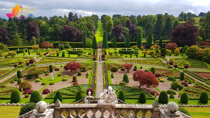 Drummond Garden
