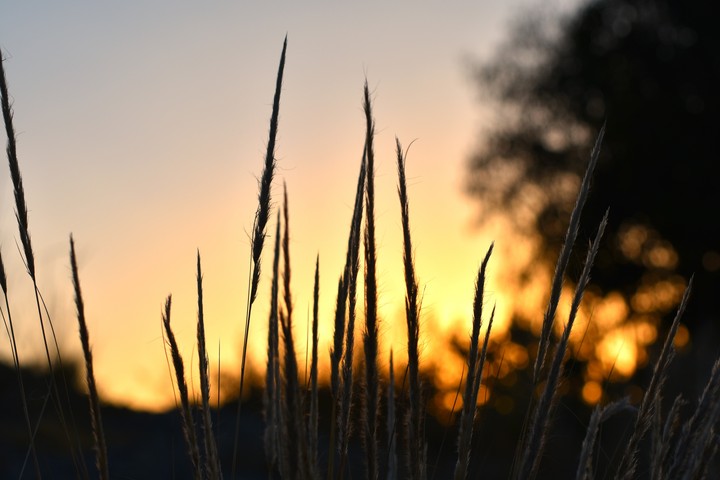 Atardecer