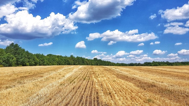 Beautiful summer day