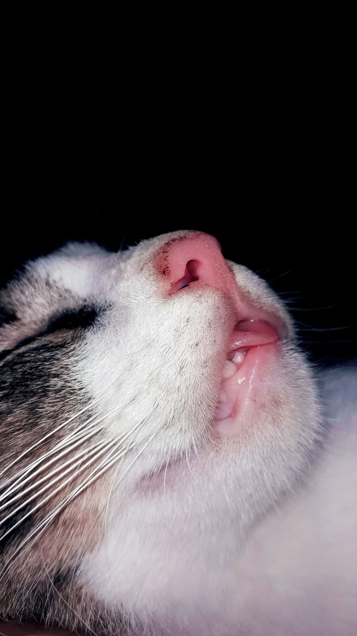 Sleep