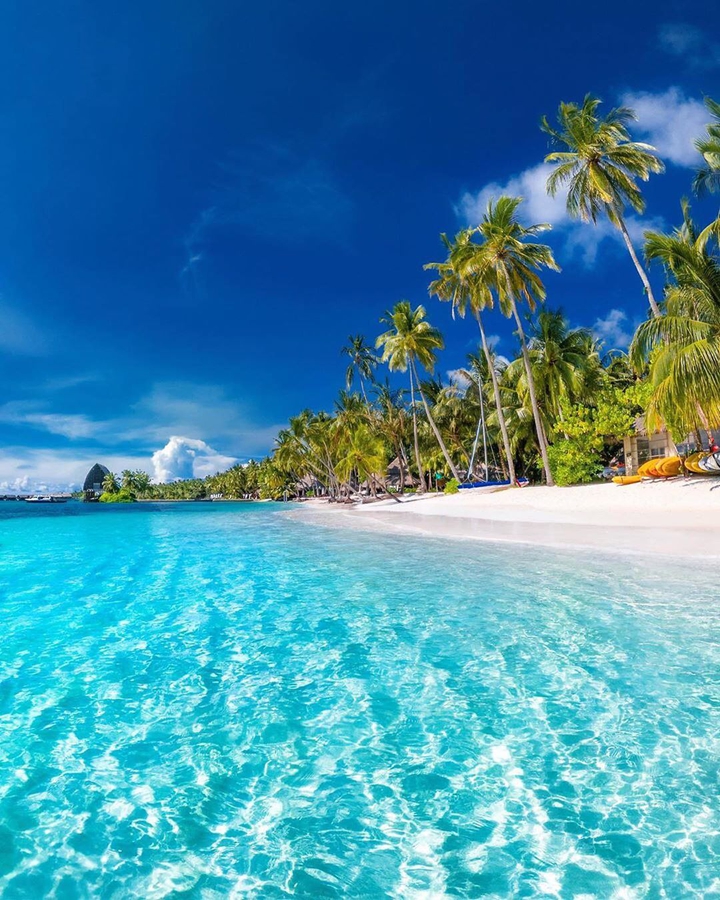 Beautiful bali