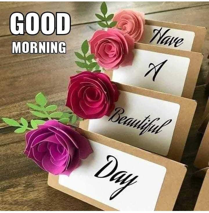 #good morning #have a nice day