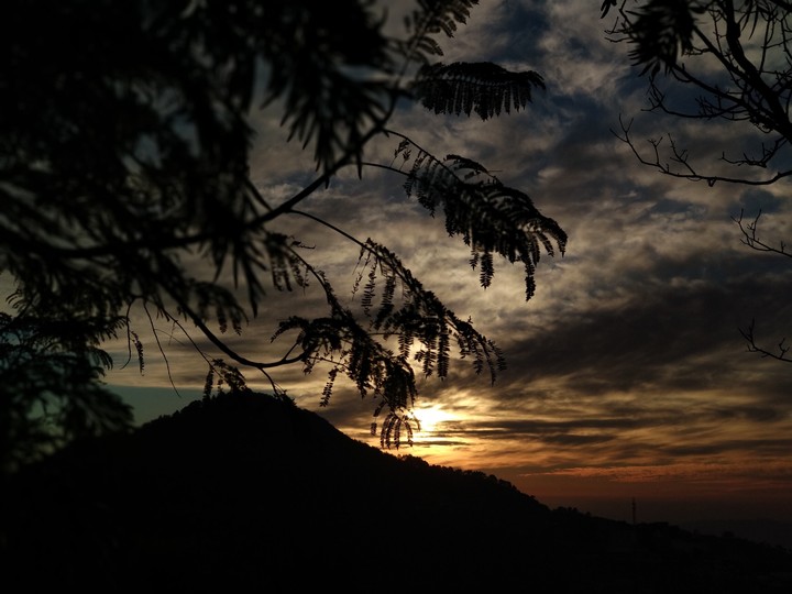 sunset