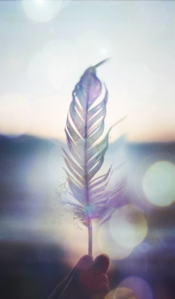 Feather