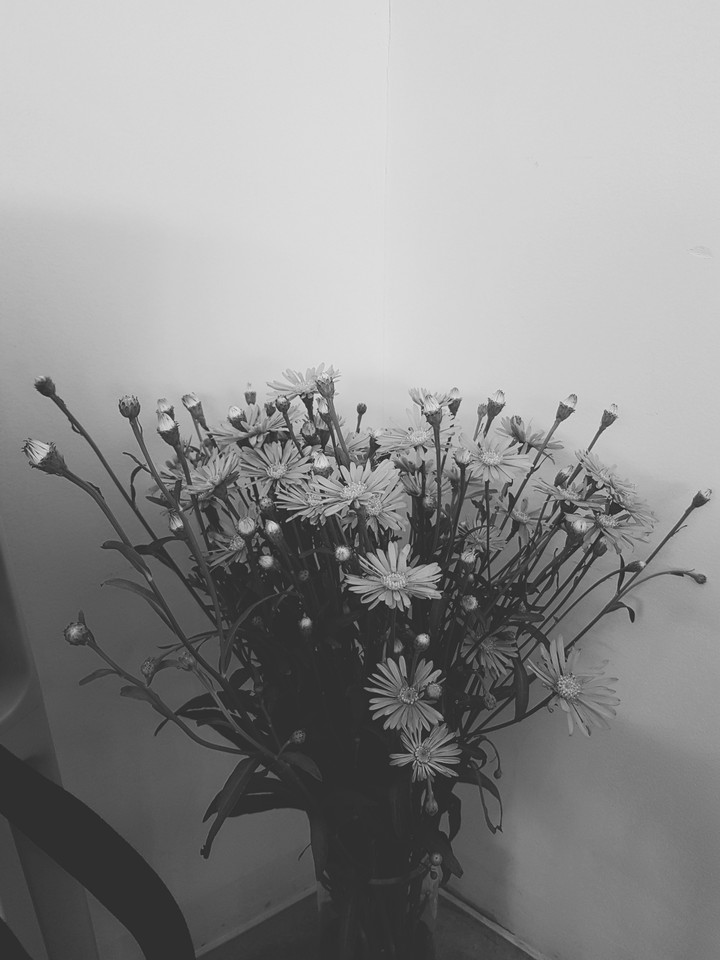 꽃