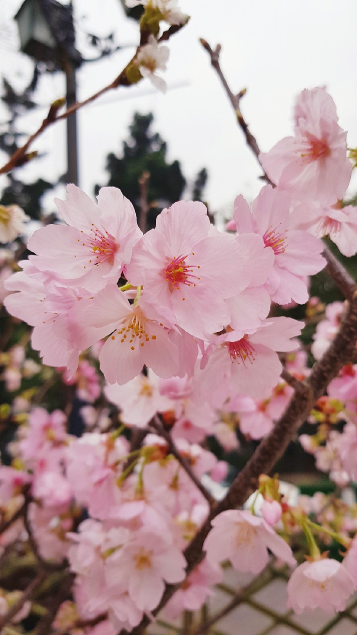 Bring back spring feels
