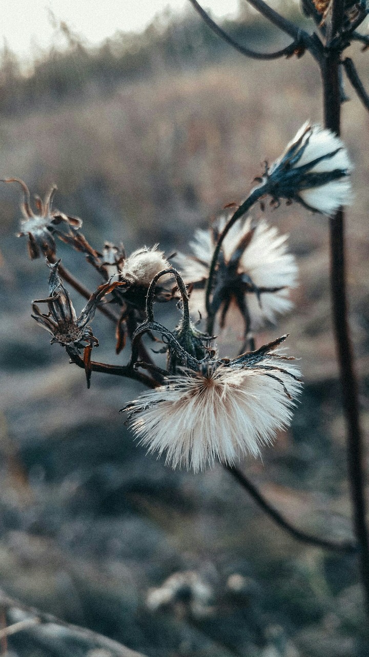осень