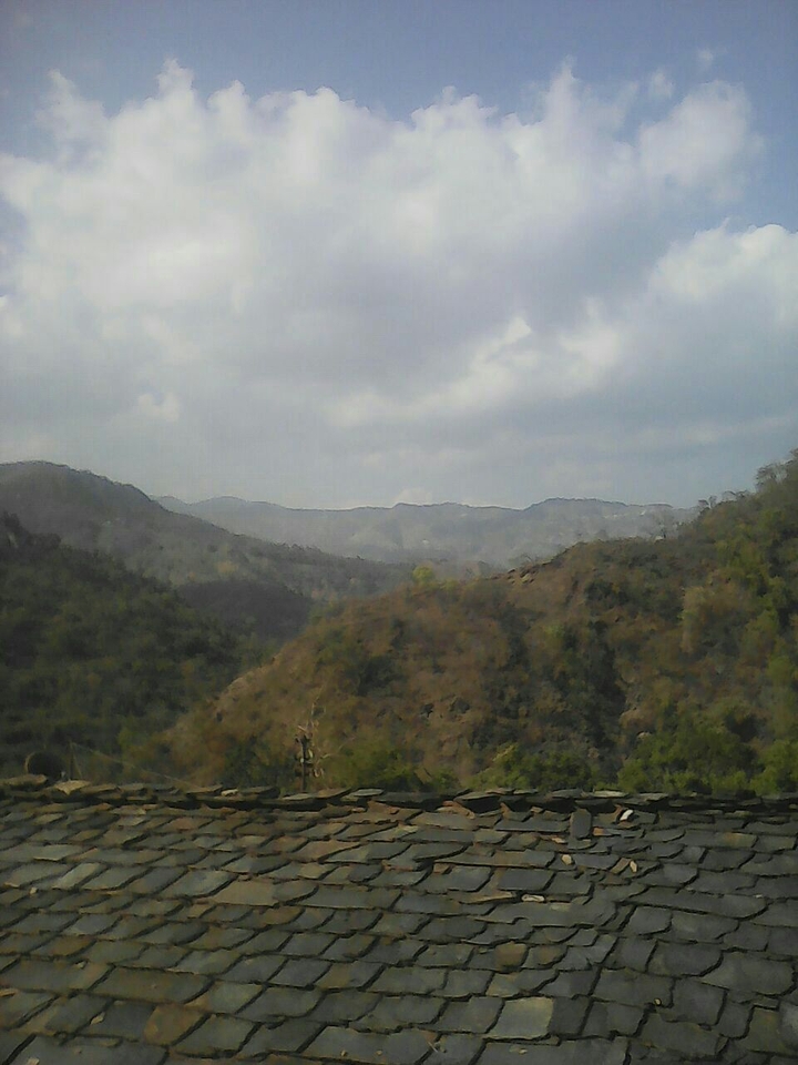 nice morning