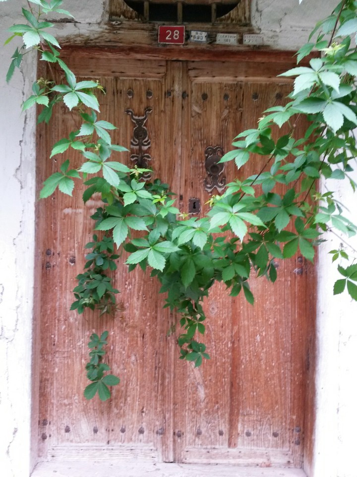 door