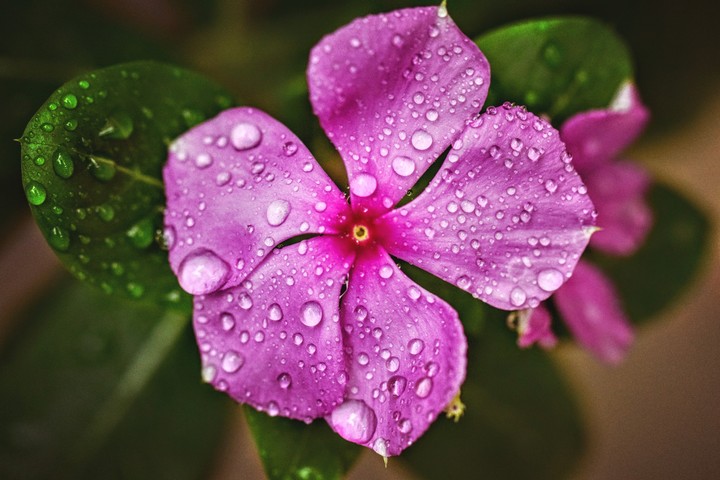 After Rain