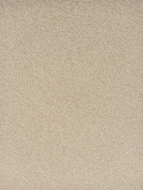 beach sand