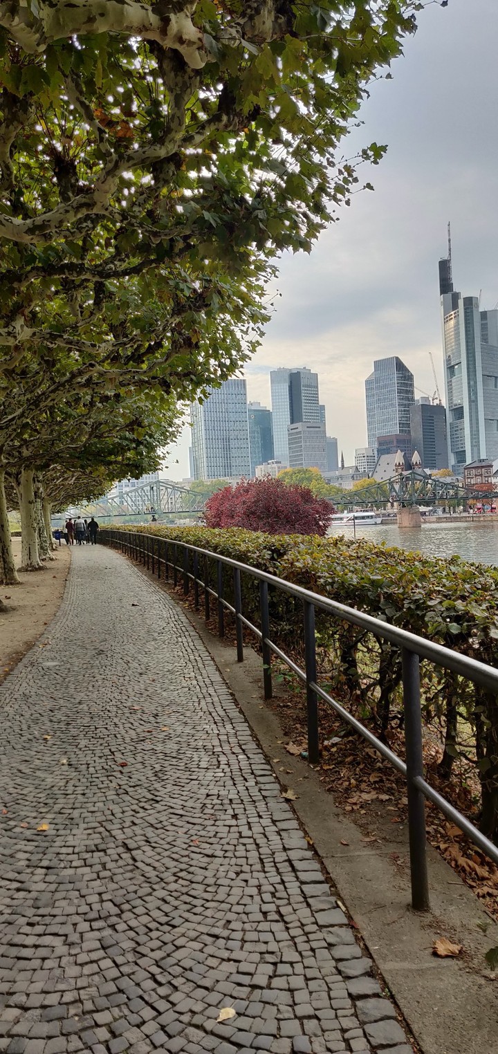 Frankfurt city