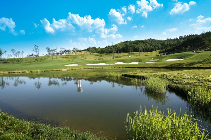 Golf Course