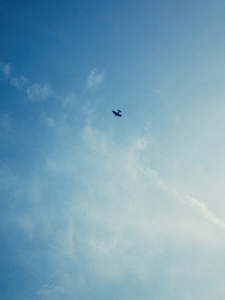 fly