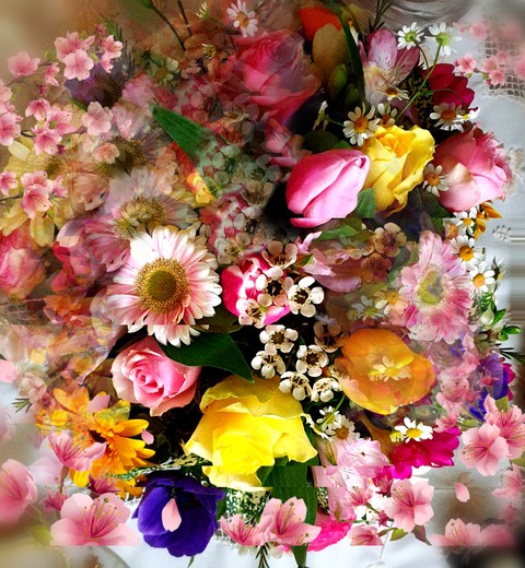 petal, Bouquet वॉलपेपर