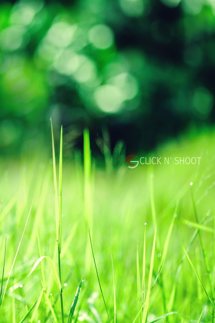 Click n shoot