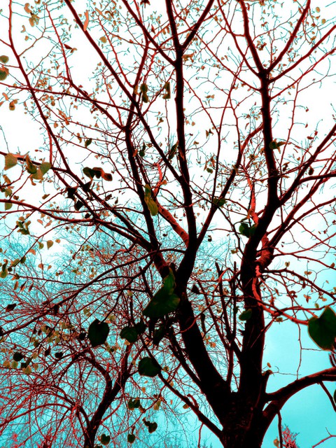 LIKE A PAINTING