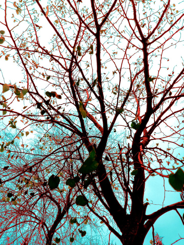 LIKE A PAINTING
