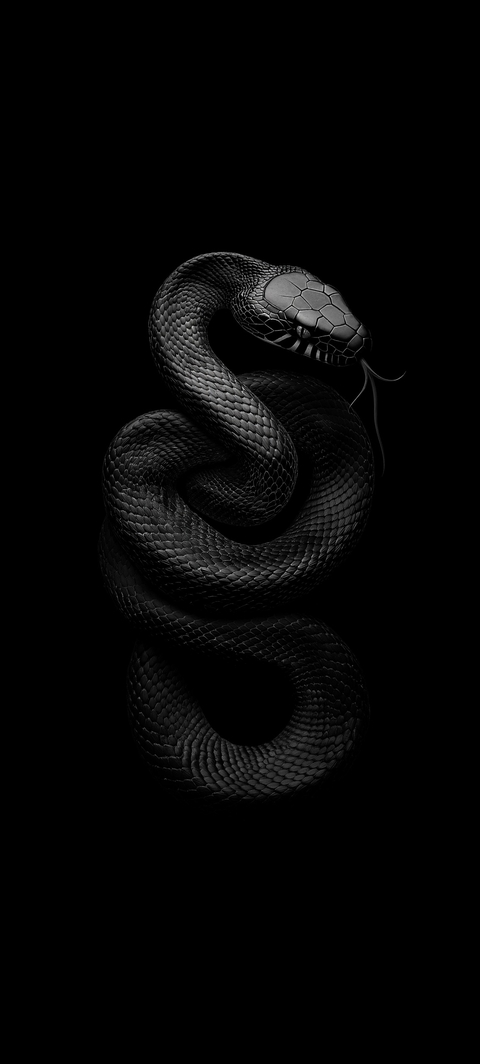 black, serpent वॉलपेपर
