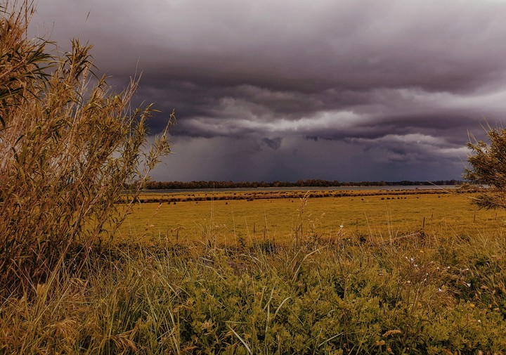 Before the storm
