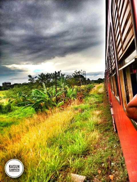 train