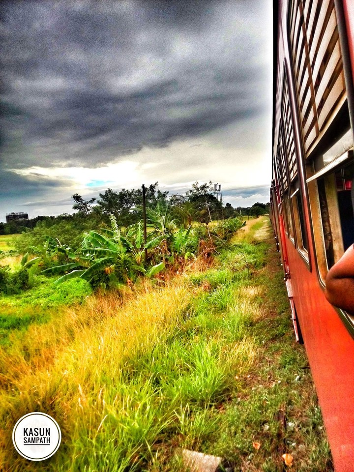 train