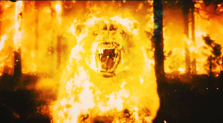 Big fire BEAR