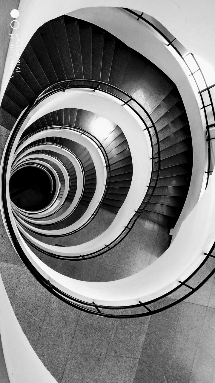loops