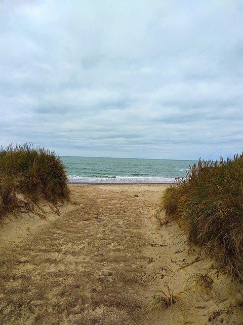Meer