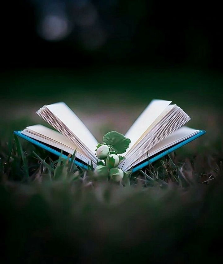 Libro y Flor