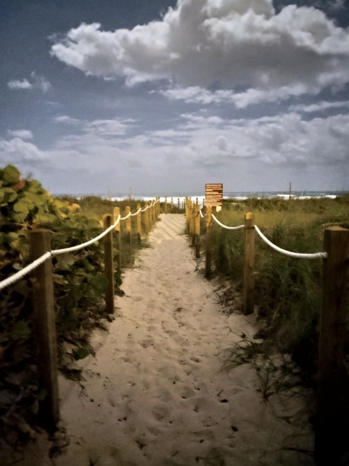 nightmode Beach walk