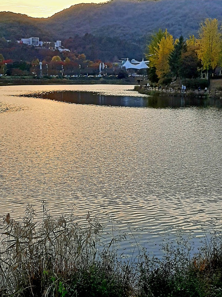 Lake