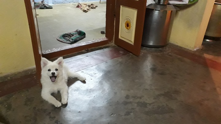 pettyyy
