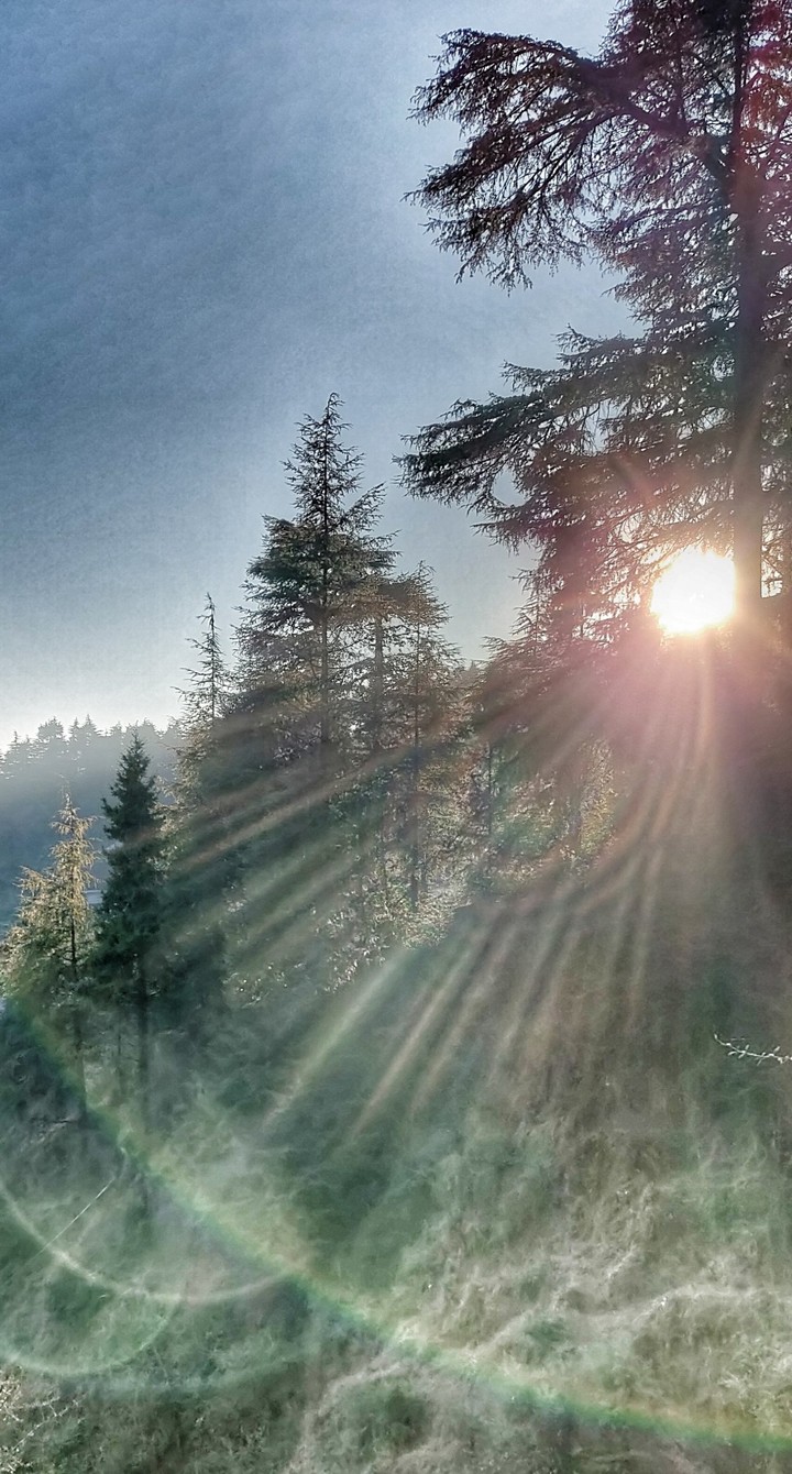 Wintery ray of sunshine