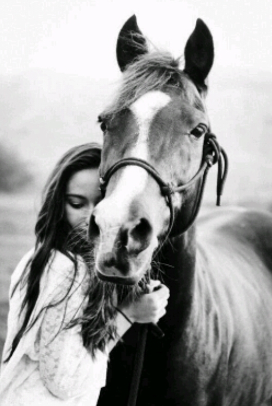 Horse.
