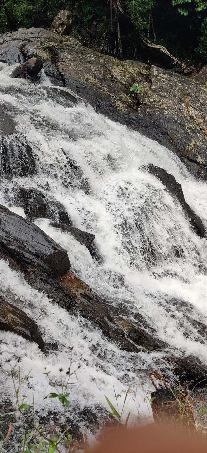 Falls