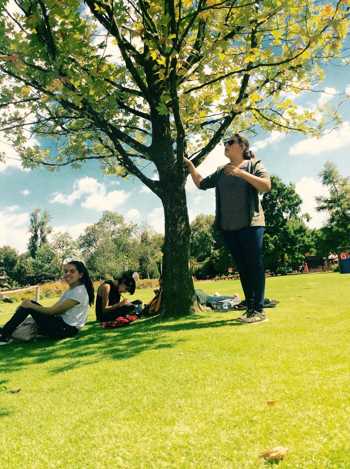 Normal Day at the Park 