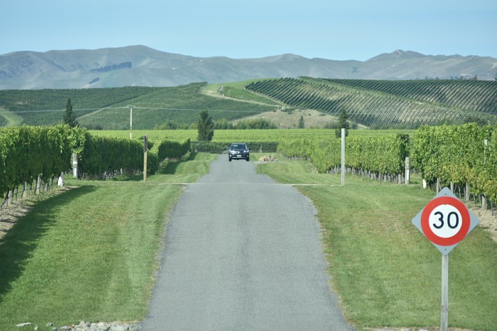Driving through Vineyards