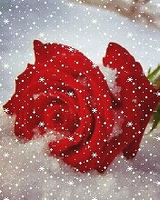 romantik