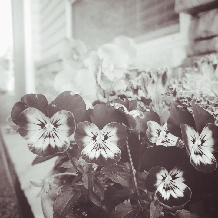 black and white