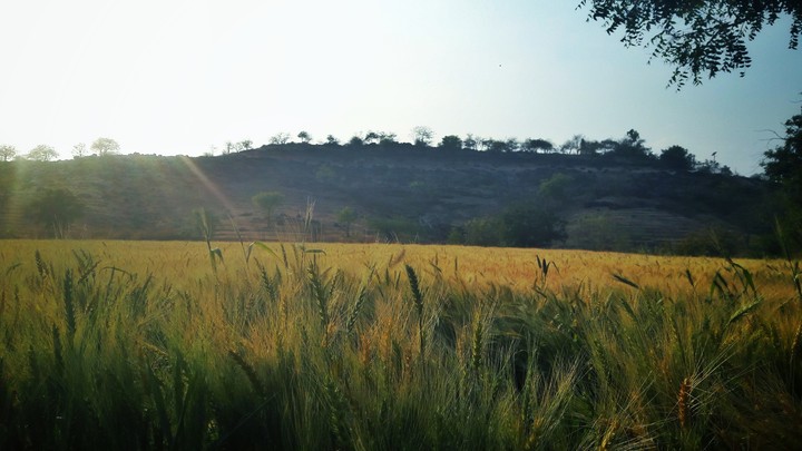 morning clicks...