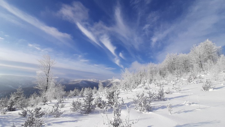 winter 5