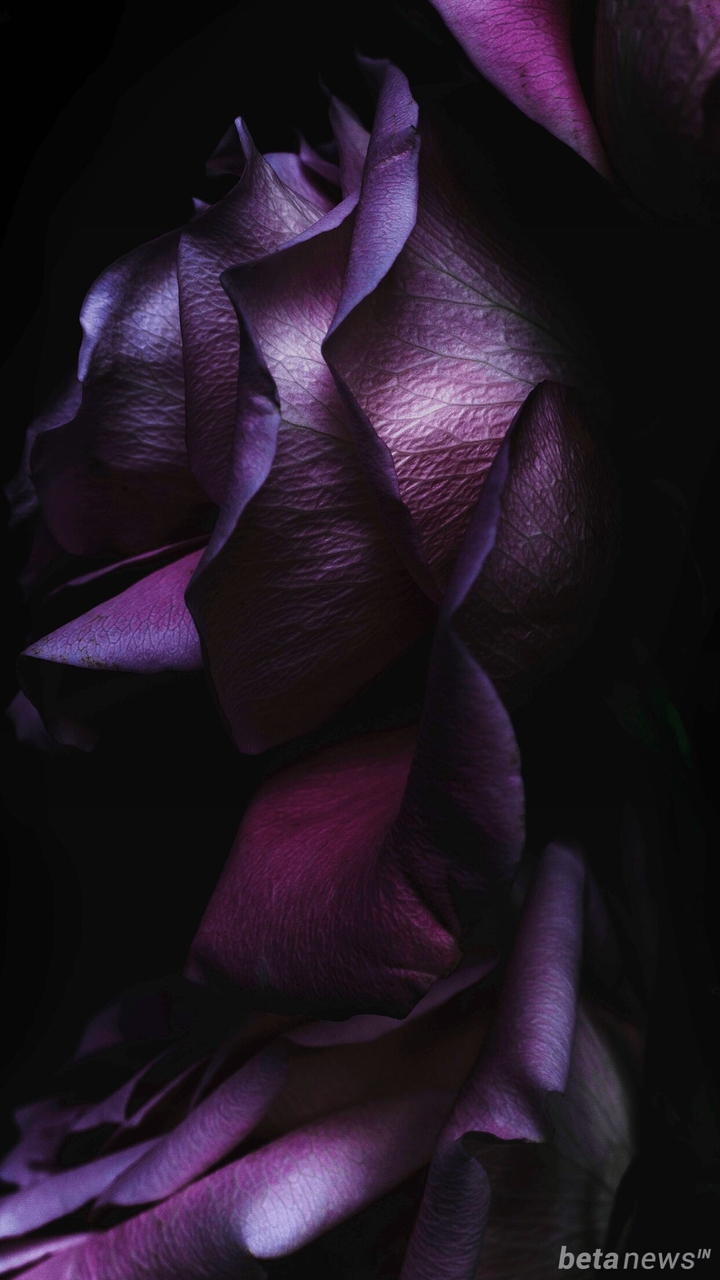 IOS 9 Stock Wallpapers 7