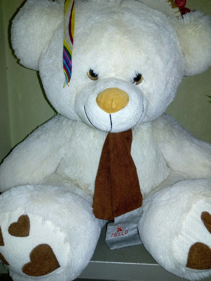 Bear
