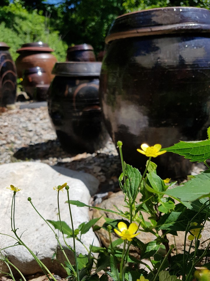 장독대