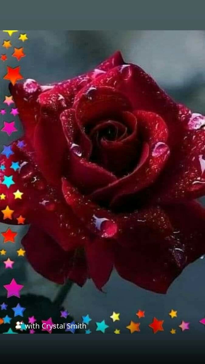 BEAUTIFUL