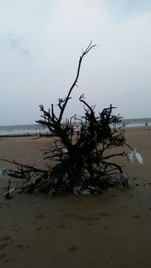 Near Sea